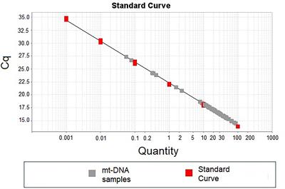 Peripheral Blood Mitochondrial DNA Levels Were Modulated by SARS-CoV-2 Infection Severity and Its Lessening Was Associated With Mortality Among Hospitalized Patients With COVID-19